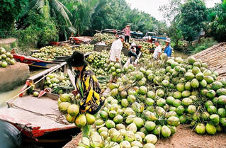 Đất lành