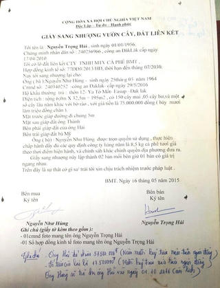 Vụ mua bán trái phép đất liên kết (Đắk Lắk): Sẽ xử lý nghiêm các trường hợp vi phạm