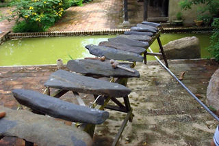 Âm  thanh  đại  ngàn