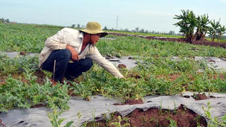 Bà con Khmer nỗ lực xây dựng nông thôn mới