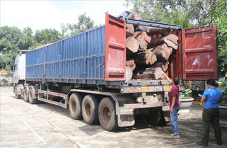 Đắk Nông: Bắt xe container chở hơn 17m³ gỗ căm xe