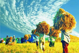 An ninh lương thực đảm bảo dinh dưỡng trẻ em