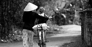 Di sản gia đình Việt