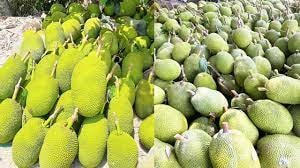 Chữ ‘An’ trong nông nghiệp
