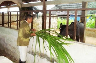 Vĩnh biệt người anh hùng chân đất Hồ Giáo