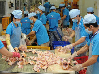 Tuyên chiến với thực phẩm bẩn