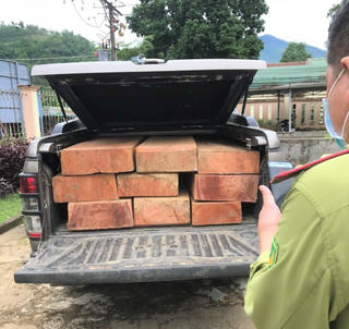 Quảng Ngãi: Phát hiện xe bán tải vận chuyển gỗ xẻ trái phép