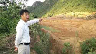 Tan nát rừng Trại Cuốn