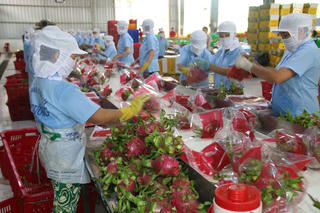 Vì một nền nông nghiệp thích ứng