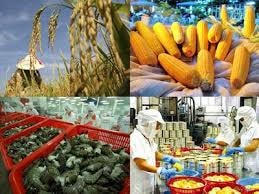Xuất, nhập khẩu nông lâm thủy sản giảm