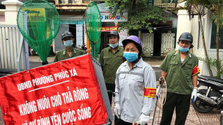 Hà Nội: Quận Ba Đình lập 14 đội bắt chó mèo thả rông