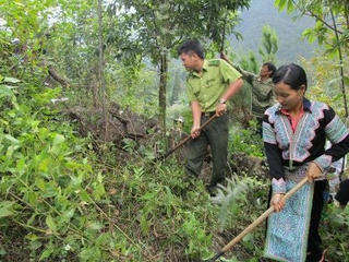 Lai Châu: Thành lập tổ chuyên trách bảo vệ rừng