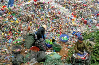 Quản lý chất thải rắn sinh hoạt: Cần chế tài mạnh hơn để xử lý