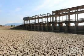 Bình Thuận: Hạn chế thiệt hại trong mùa khô