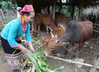 Nghèo không chỉ là thu nhập thấp