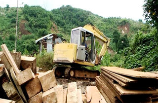 Một cá nhân bị phạt 100 triệu đồng do vận chuyển gỗ lậu