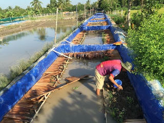 Làm giàu từ nuôi lươn
