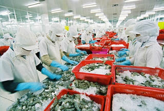 Việt Nam - Hoa Kỳ: Tăng cường hợp tác toàn diện