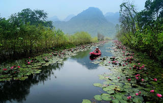 Suối Yến mùa hoa súng