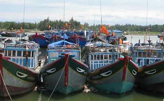 Khẩn trương ứng phó với áp thấp nhiệt đới