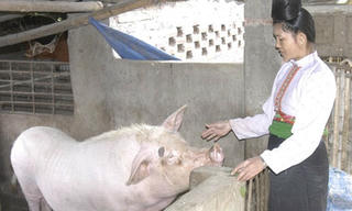 Đòn bẩy thoát nghèo