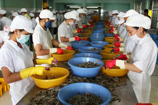 Tìm đường bơi cho con tôm
