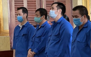 Cựu Chủ tịch Petroland Bùi Minh Chính và các đồng phạm chịu mức án nào?  