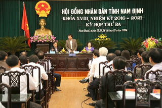 Gần 1000 ha ruộng đất bỏ hoang