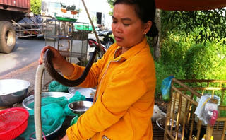 Nỗi buồn mùa nước nổi