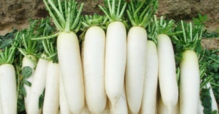 Công dụng từ củ cải trắng