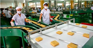 Loay hoay trong ma trận điều kiện kinh doanh