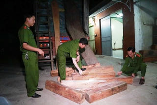 Ngụy trang xe chở sắn để chở gỗ lậu