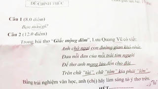 Từ đề thi học sinh giỏi môn Văn…