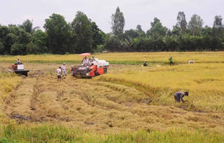 Châu Thành (Sóc Trăng) thực hiện nhiều mô hình phát triển kinh tế góp phần giảm nghèo