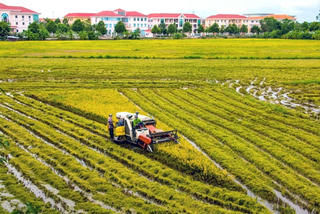 Hậu Giang: Bước chuyển mình mới