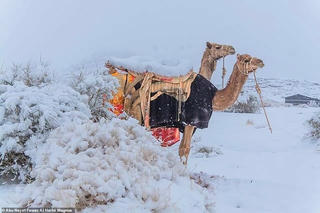Băng tuyết bất ngờ phủ trắng sa mạc Sahara