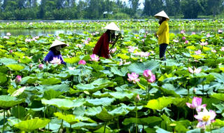 Sắc màu văn hóa Đồng Tháp