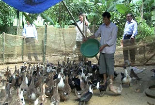 Sự đồng thuận