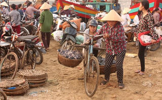Ngư dân miền Trung chuẩn bị tìm 'lộc biển'