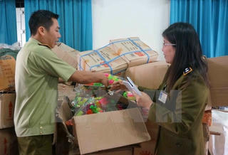 Bình Dương: Tiêu hủy hơn 6.000 sản phẩm không đảm bảo chất lượng