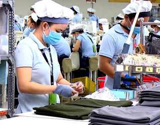 Từng bước hồi phục sản xuất kinh doanh