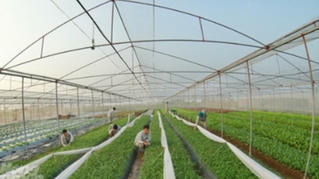 Hưng Yên: 100% số xã đạt chuẩn nông thôn mới