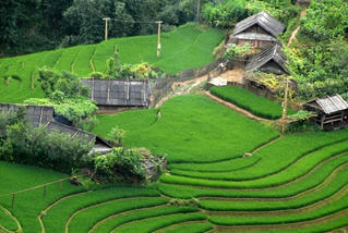 Xây dựng chuẩn nghèo đa chiều