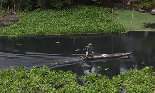 Xác định nguyên nhân làm nước sông Vàm Cỏ Đông bị ô nhiễm