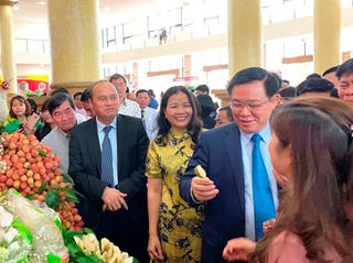 Vụ vải thiều Bắc Giang năm nay thơm ngon hơn năm ngoái