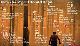 [Infographics] Điểm lại các vụ cháy rừng gây thiệt hại nhất thế giới