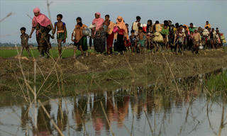 LHQ: Hơn 120.000 người Rohingya tháo chạy tới Bangladesh