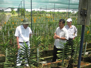 Nông dân khó tiếp cận chính sách