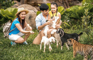 Vinpearl Safari điểm đến của bảo tồn và phúc trạng động vật lớn nhất Đông Nam Á 2019