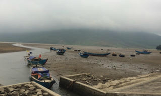 Hà Tĩnh hỗ trợ ngư dân thiệt hại do cá chết hàng loạt